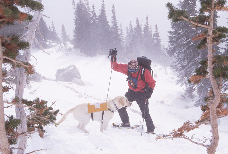 Copper Mountain Ski Patrol team, Tim Burnham and Eddy