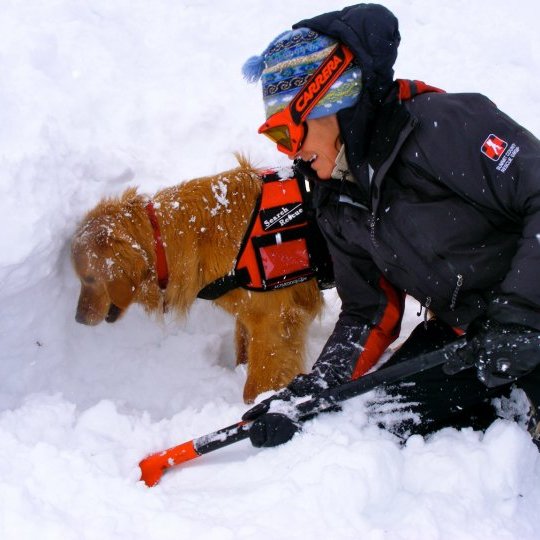 Nearly down to the subject April 2010